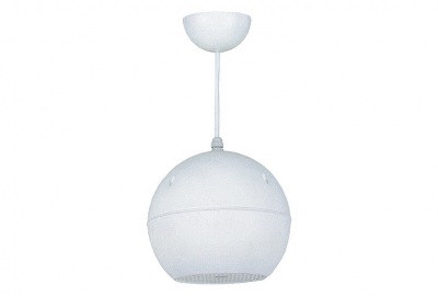 VZ 6630WS-防水吊挂扬声器